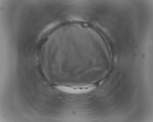 X0000083071303200702232036