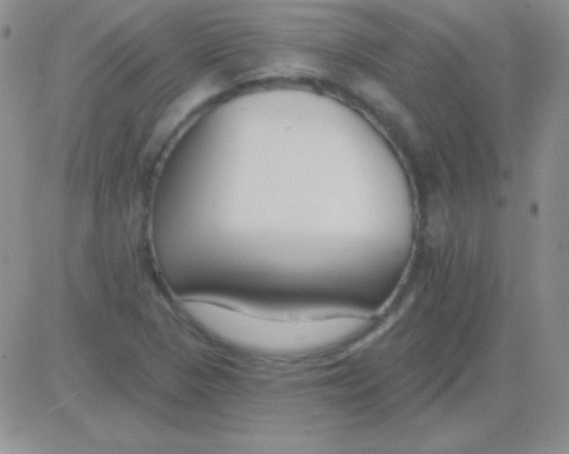 X0000083071313200702232037