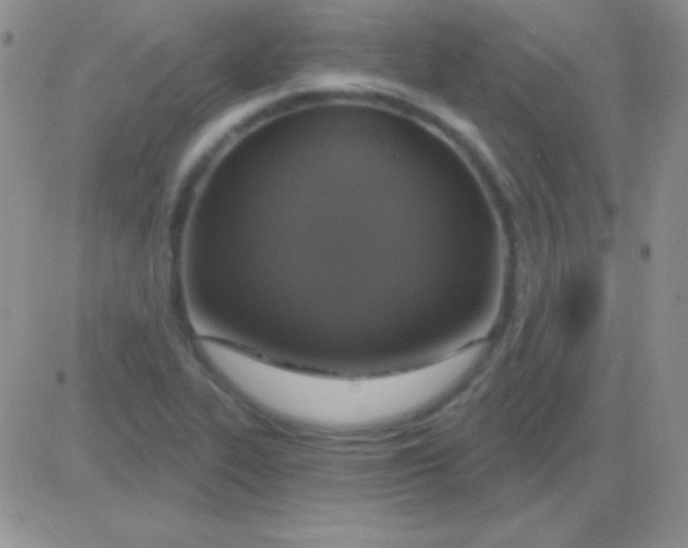X0000083071319200702232037