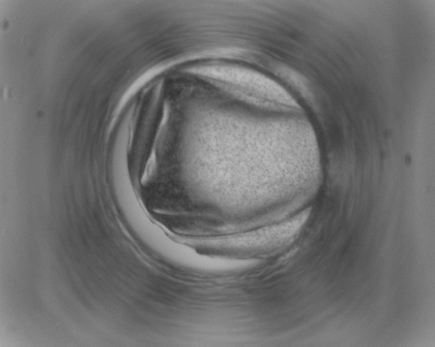 X0000083071324200702232037