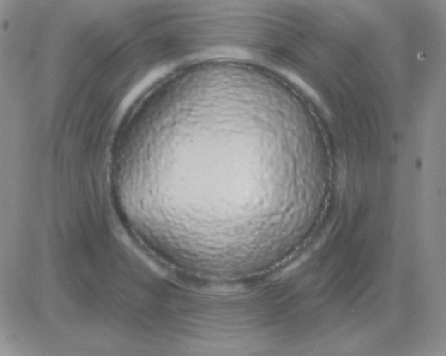X0000083071325200702232037