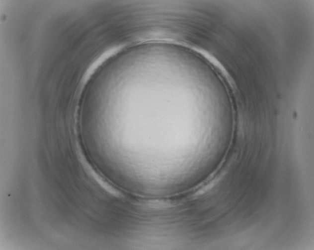 X0000083071333200702232037