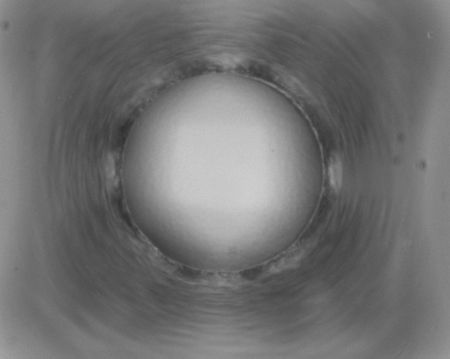 X0000083071347200702232036