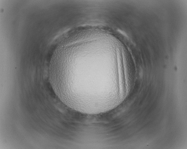 X0000083071350200702232036