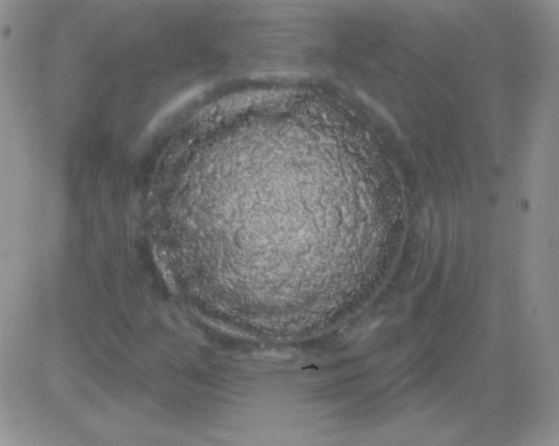 X0000083071351200702232036