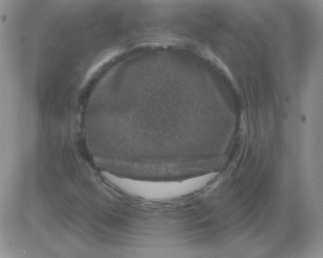 X0000083071352200702232036