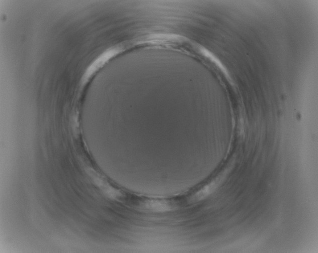 X0000083071362200702232036