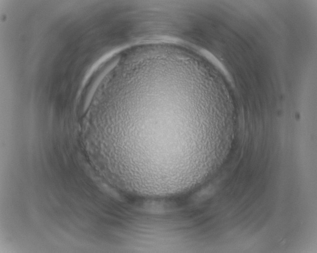 X0000083071364200702232036
