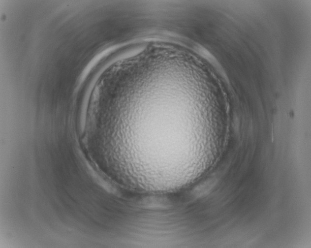 X0000083071368200702232036