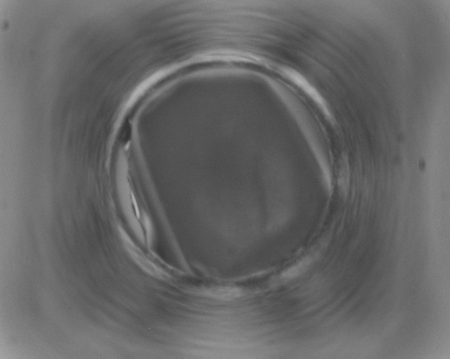 X0000083071372200702232036