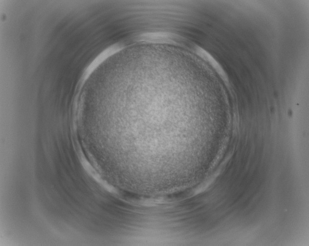 X0000083071386200702232036