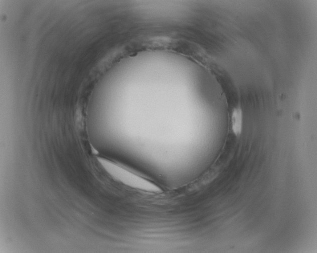 X0000083071395200702232035