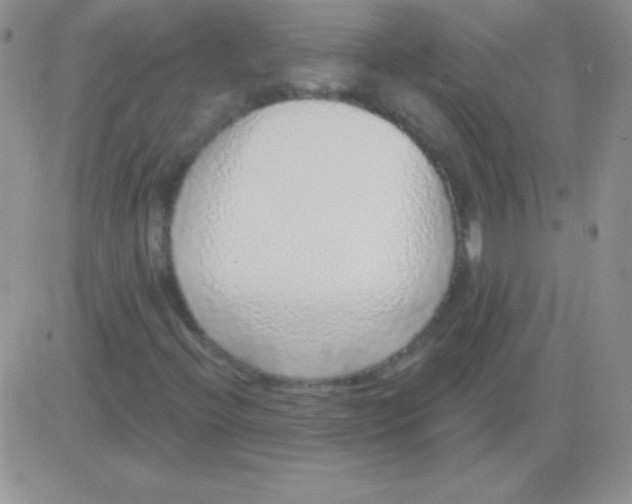 X0000083071396200702232035