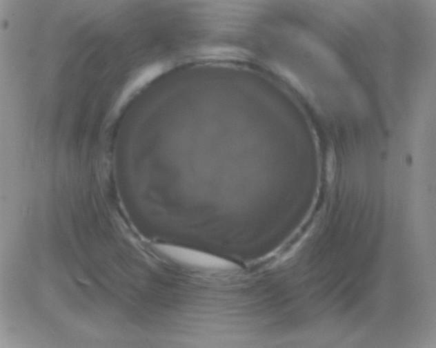 X0000083071405200702232035