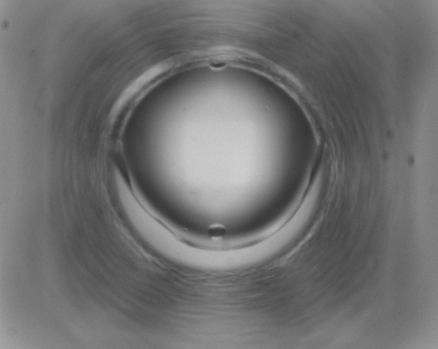X0000083071410200702232035