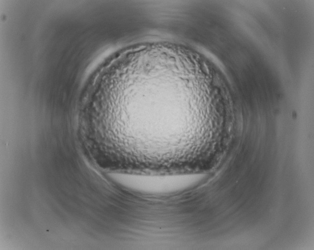 X0000083071415200702232035