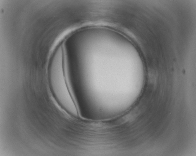 X0000083071416200702232035