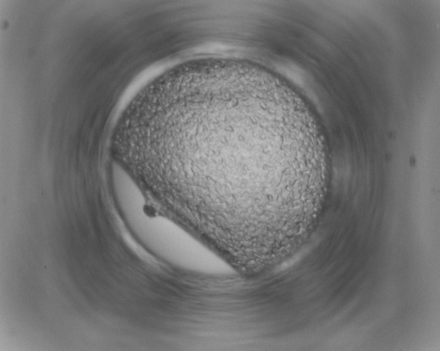 X0000083071421200702232035