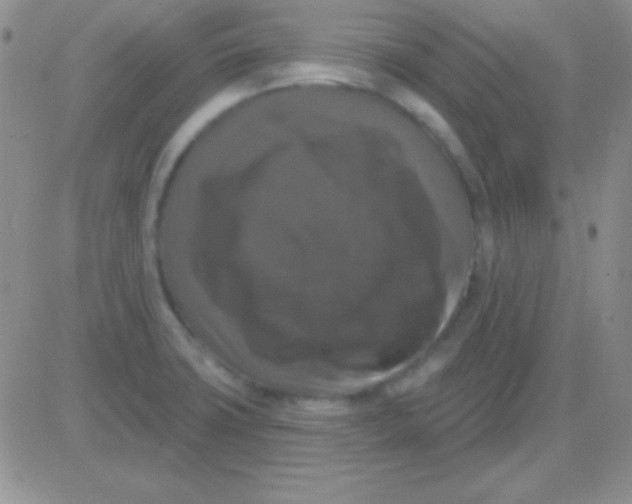X0000083071427200702232035