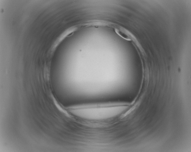 X0000083071433200702232035
