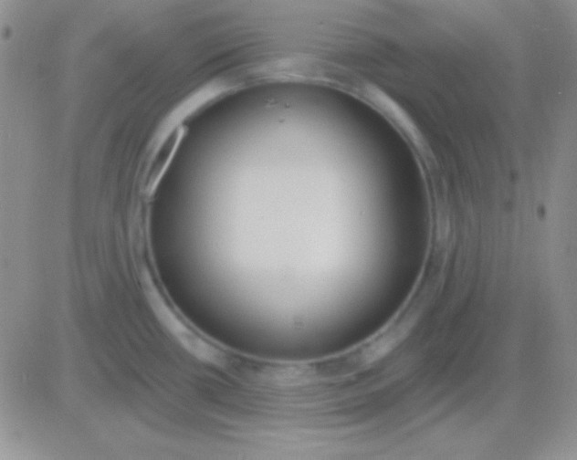 X0000083071434200702232035