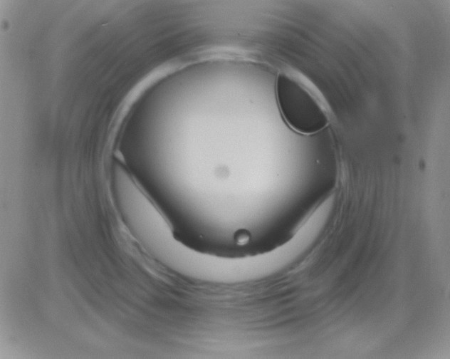 X0000083071435200702232035