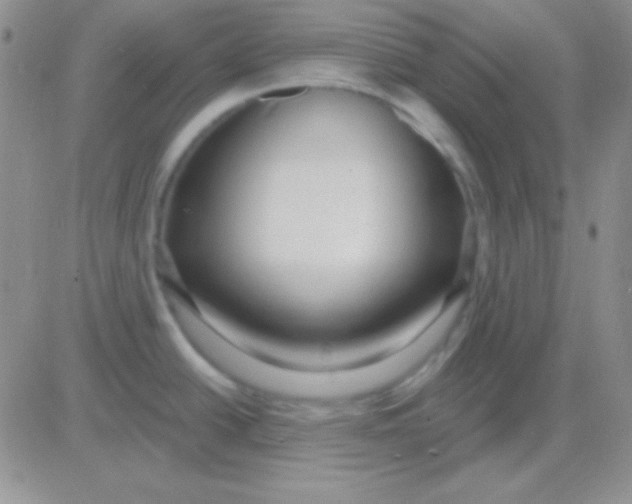 X0000083071438200702232035