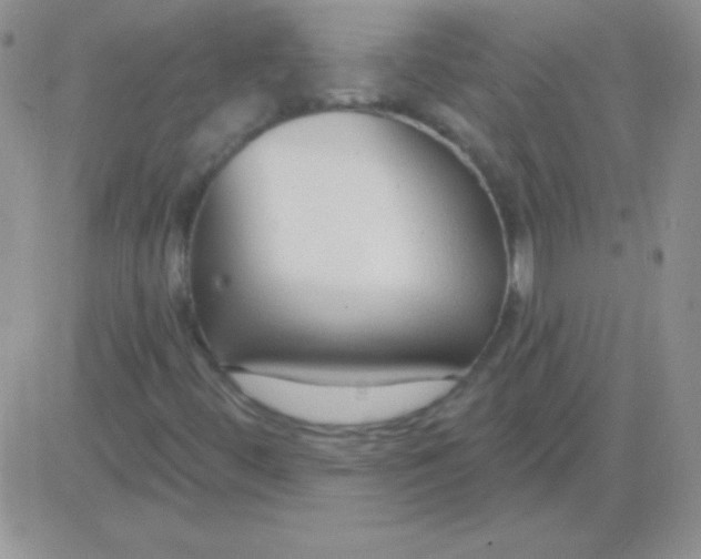 X0000083071444200702232035