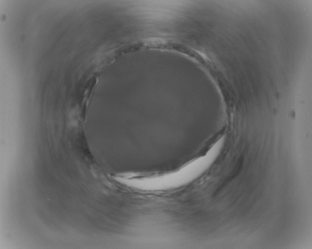 X0000083071445200702232035