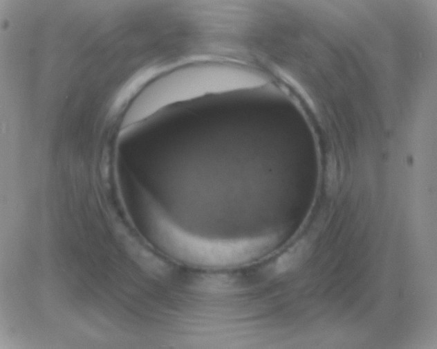 X0000083071455200702232034