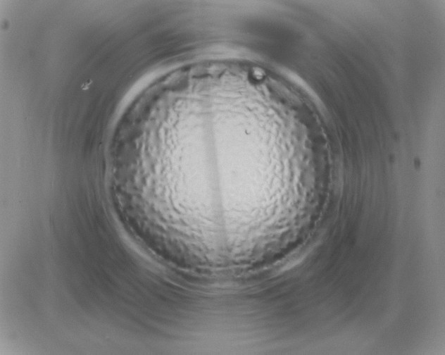 X0000083071467200702232034