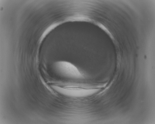 X0000083071469200702232034