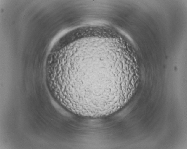 X0000083071471200702232034