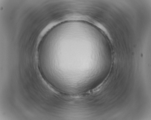 X0000083071472200702232034