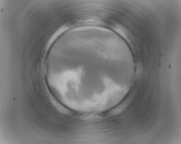 X0000083071474200702232034