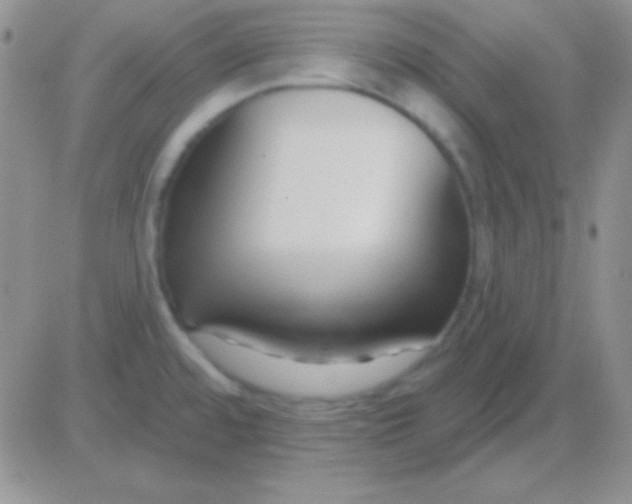 X0000083071480200702232034