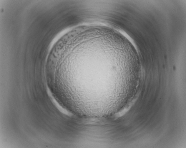 X0000083071485200702232034