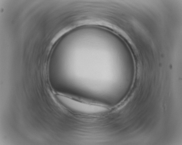 X0000083071513200702232033