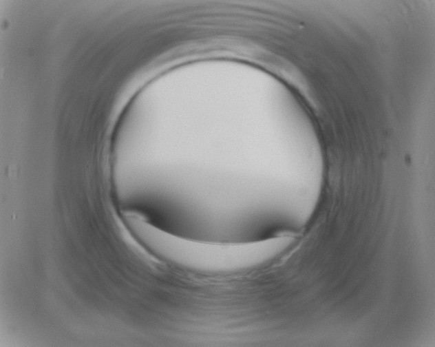 X0000083071516200702232033