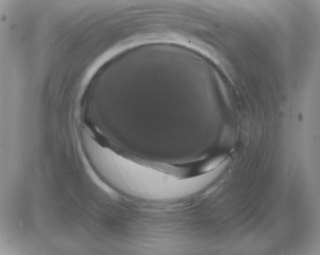 X0000083071519200702232034