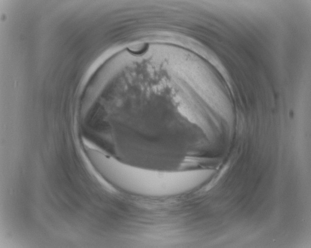X0000083071533200702232034