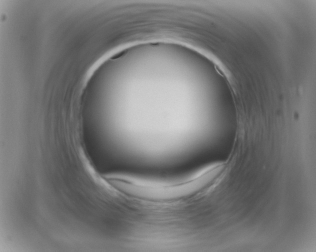 X0000083071534200702232034
