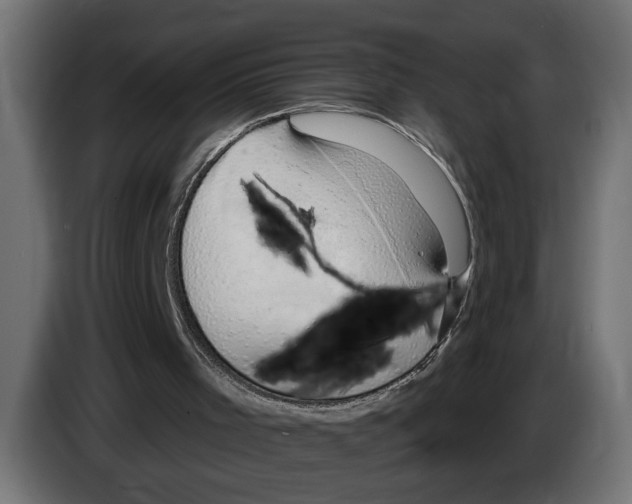 X0000083070001200703022207