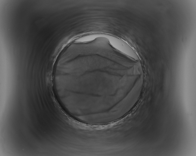 X0000083070002200703022207