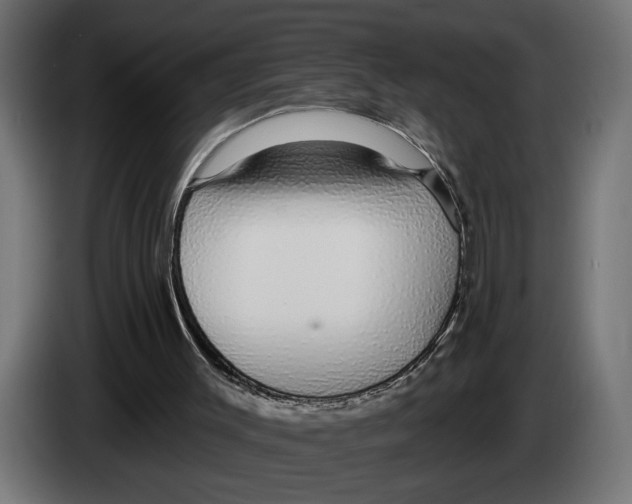 X0000083070003200703022207