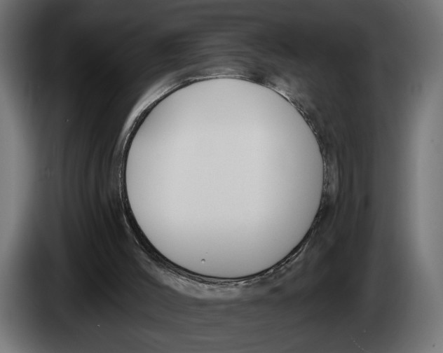 X0000083070004200703022207