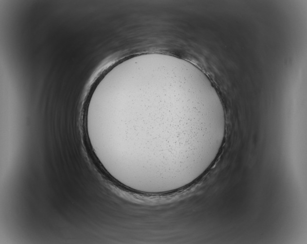 X0000083070006200703022207