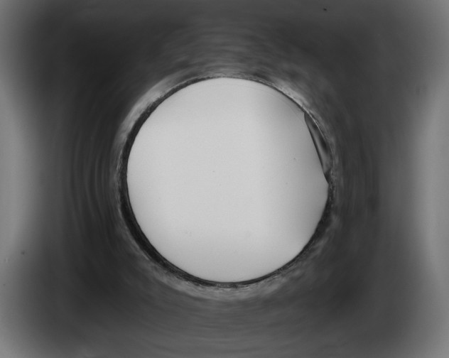 X0000083070007200703022207