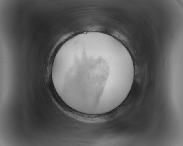 X0000083070012200703022207