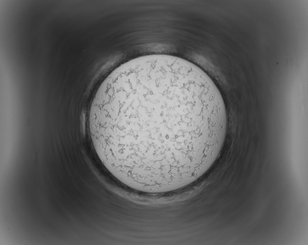 X0000083070014200703022207